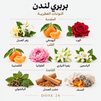 بربري لندن للنساء – أو دو بارفان Burberry London for Women – Eau de Parfum