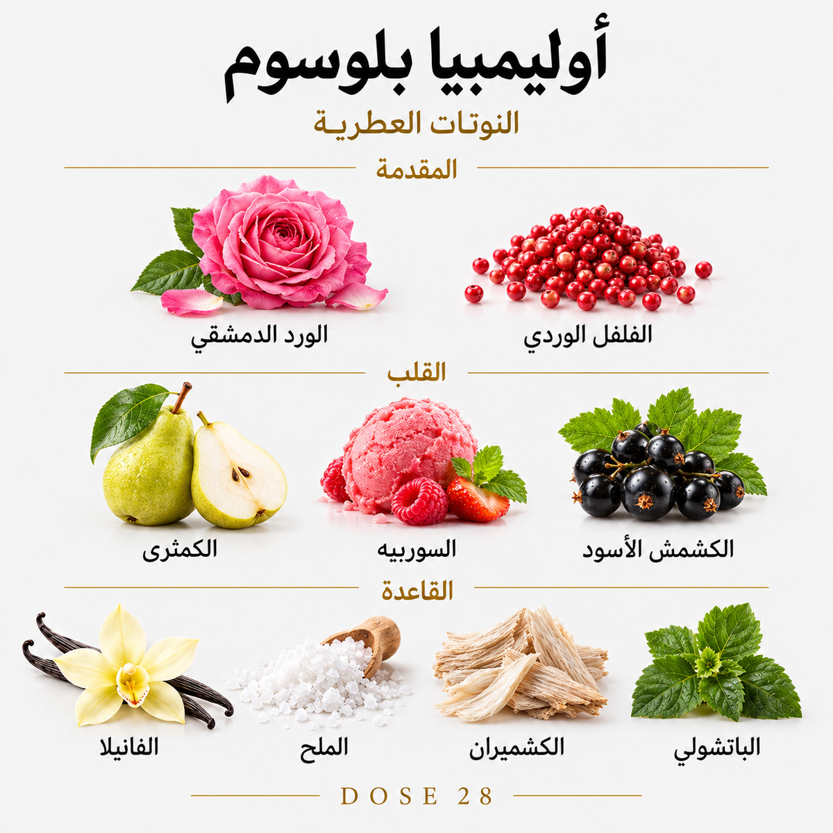 رابان أوليمبيا بلوسوم للنساء – أو دو بارفان فلورال Rabanne Olympéa Blossom – Eau de Parfum Florale