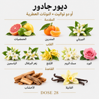 عطر ديور جادور للنساء – أو دو تواليت  Dior J’adore Eau de Toilette for Women